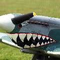 Das markante Noseart diese australischen Fighters.